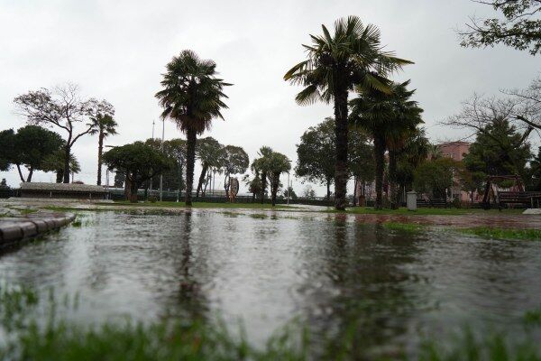 A W651614 01 600X400