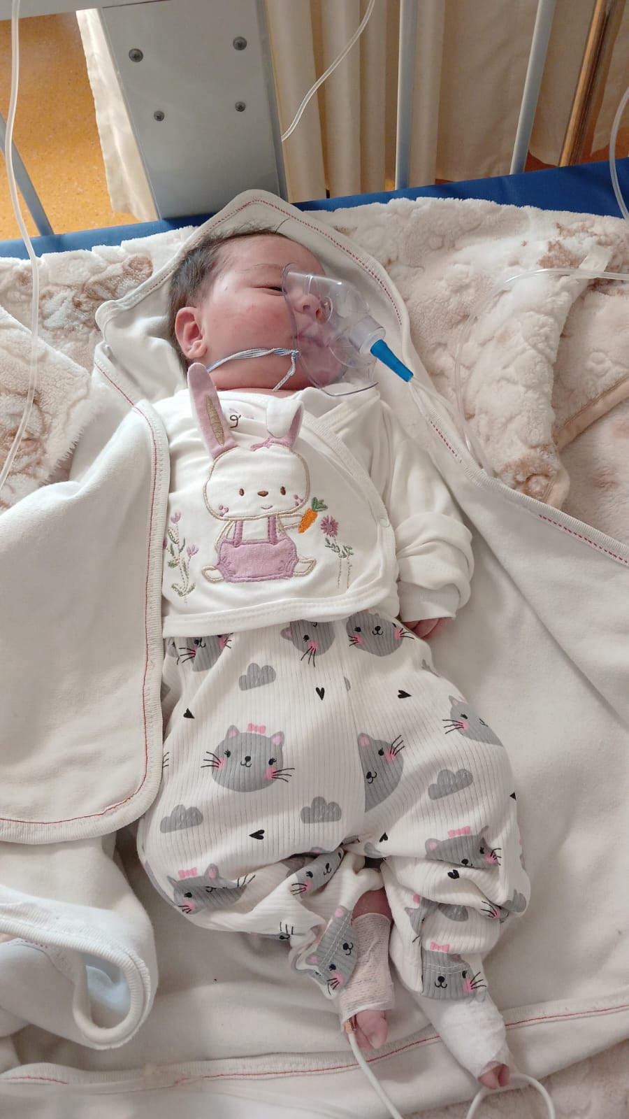 Whatsapp Image 2026 02 10 At 15.26.24 (1)