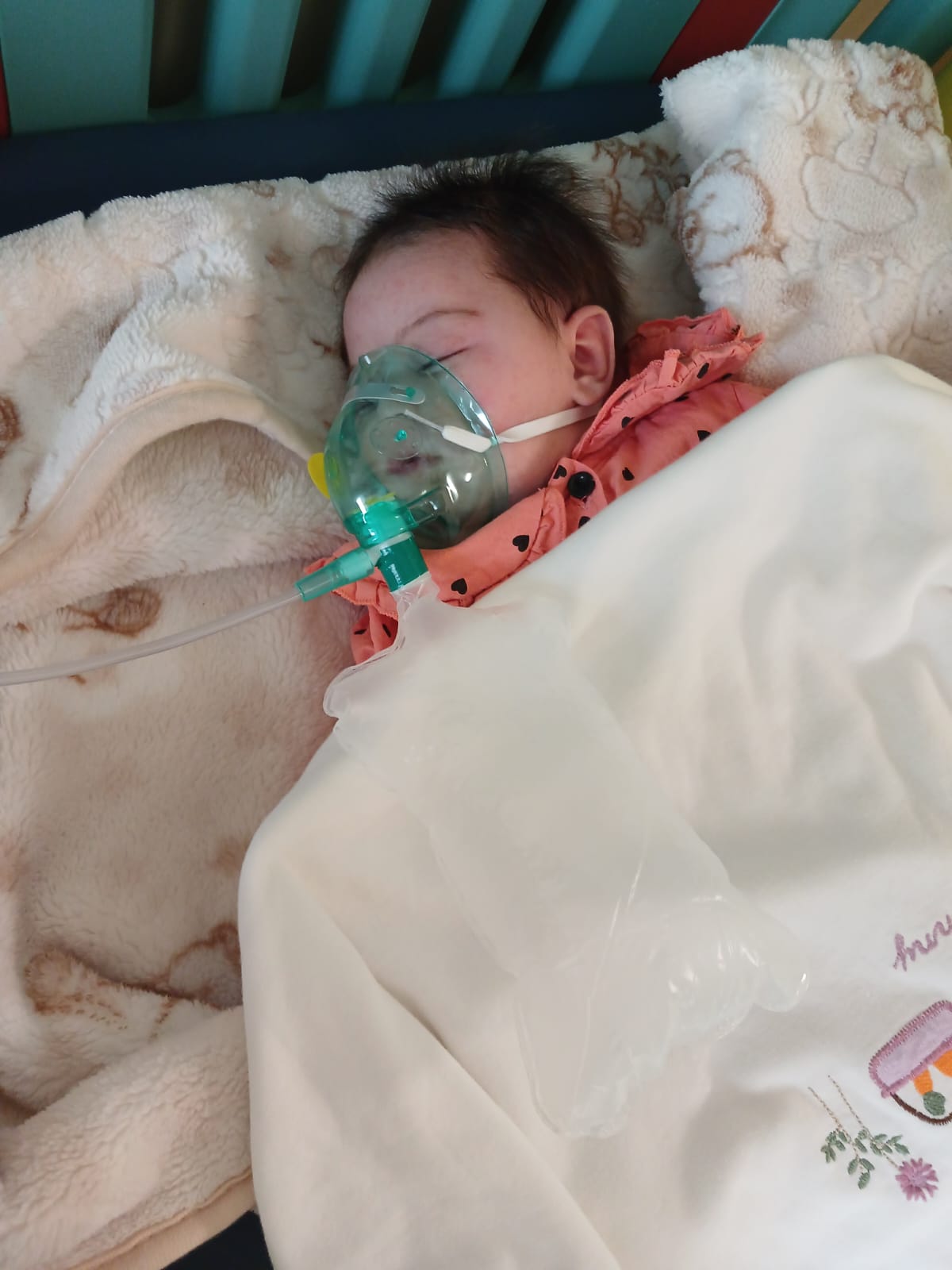 Whatsapp Image 2026 02 10 At 15.26.24