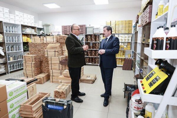 A W653165 01 600X400