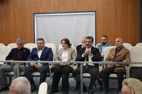 A W653638 03 600X400