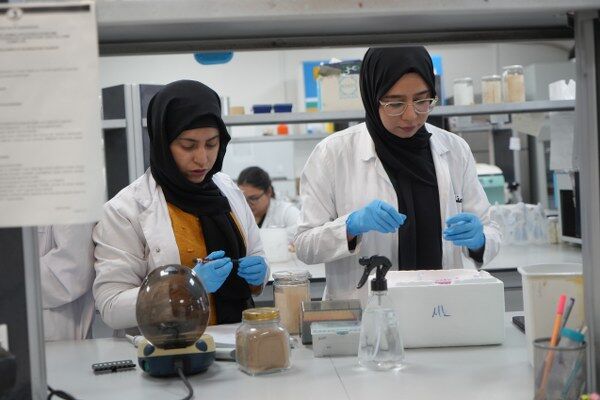 A W654997 05 600X400