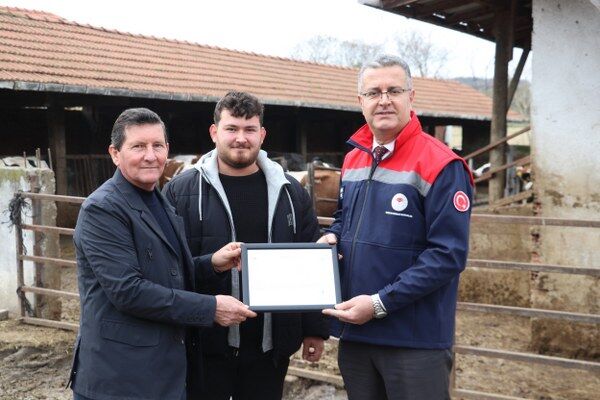 A W657835 02 600X400