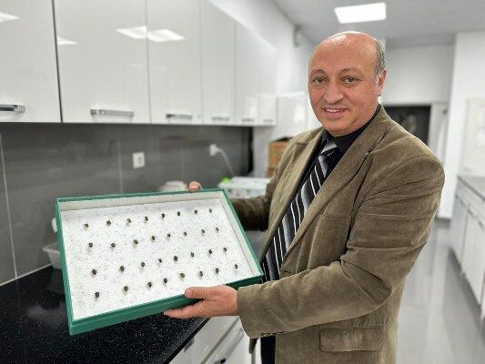 A W657958 01 533X400