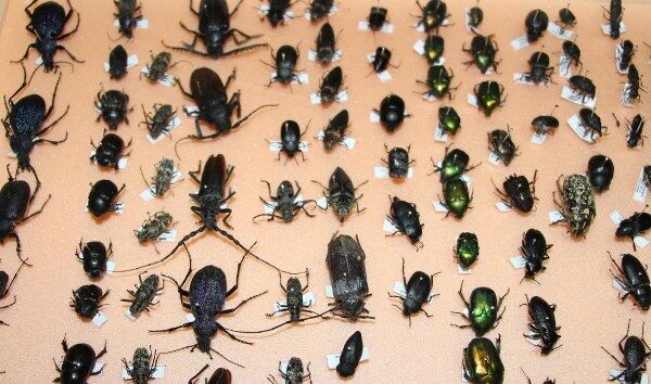 A W657958 03 600X354