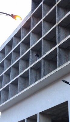 A W658222 02 231X400