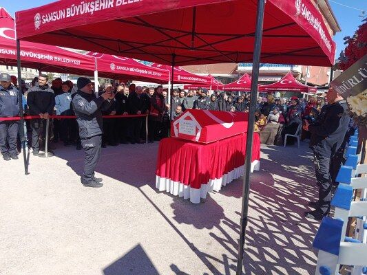 A W659043 03 533X400