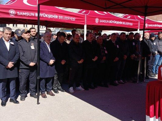 A W659043 05 533X400