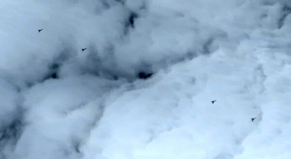 A W661833 05 600X329