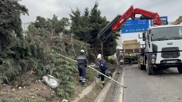 A W663300 06 600X337