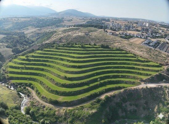 A W663373 06 548X400