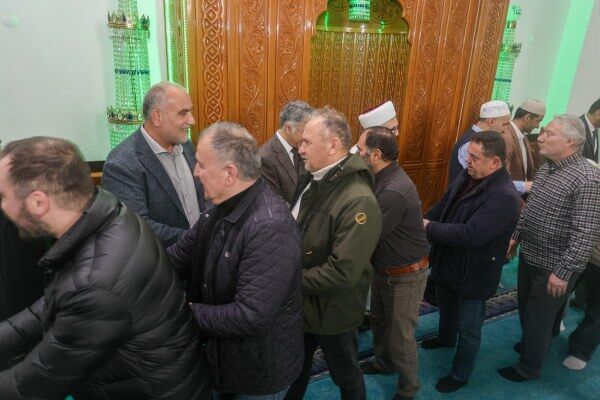 A W663689 02 600X400