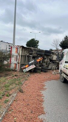 A W664219 03 225X400