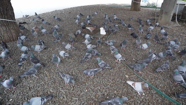 A W666547 05 600X338