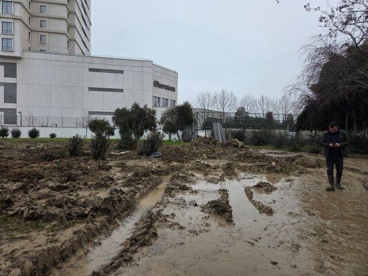 A W668028 01 533X400