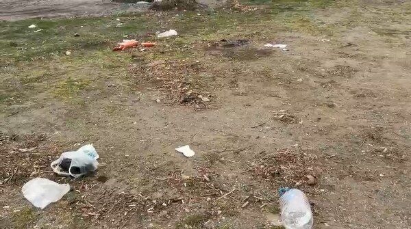 A W668805 01 600X335