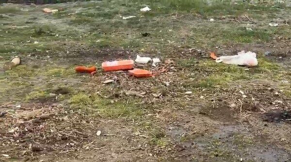 A W668805 02 600X335