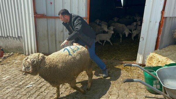 A W670976 02 600X338