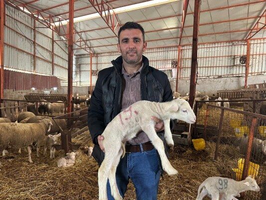 A W670976 03 533X400