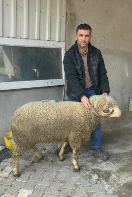 A W670976 05 268X400