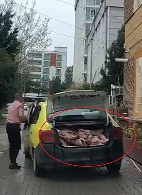 A W672284 01 292X400