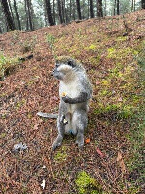 A W672857 02 300X400