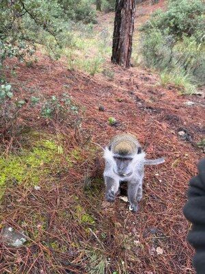 A W672857 03 300X400