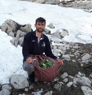 A W673007 01 386X400