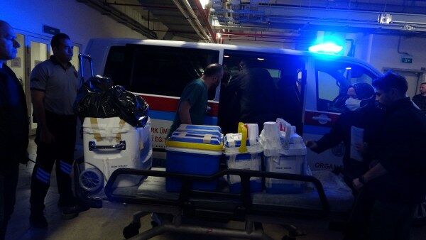 A W673219 04 600X338