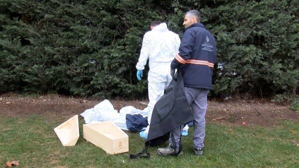 I S T A N B U L S A N C A K T E P E D E B E B E K C E S E D I B U 1233195 366742 600X338