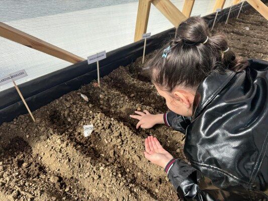 Whatsapp Image 2026 03 10 At 13.08.46 (1) 533X400