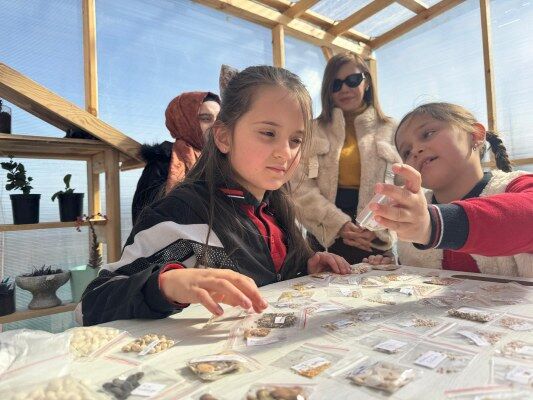 Whatsapp Image 2026 03 10 At 13.08.46 (2) 533X400