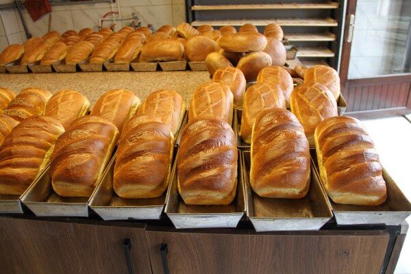 A W674208 02 600X400