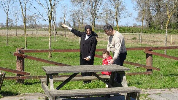 A W674397 02 600X337