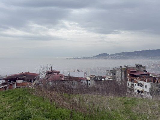 A W674525 03 533X400