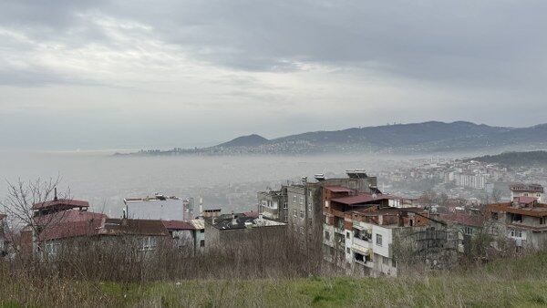 A W674525 04 600X338