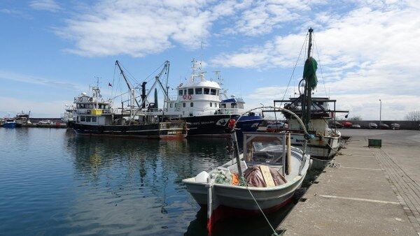 A W676306 01 600X338