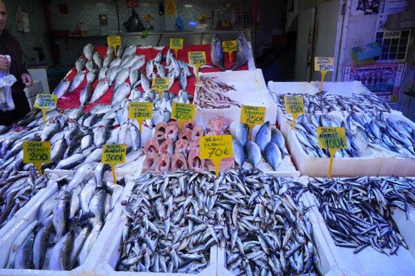 A W678262 03 600X400