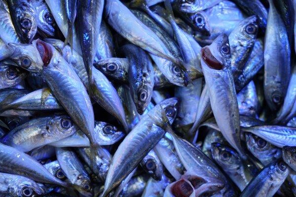 A W678262 05 600X400