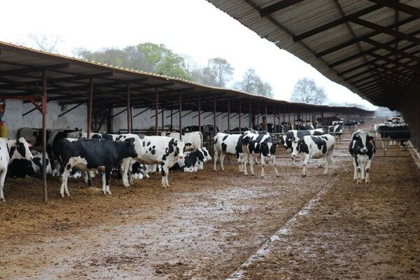 A W679707 02 600X400