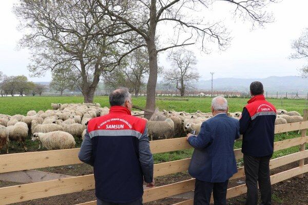 A W679707 05 600X400