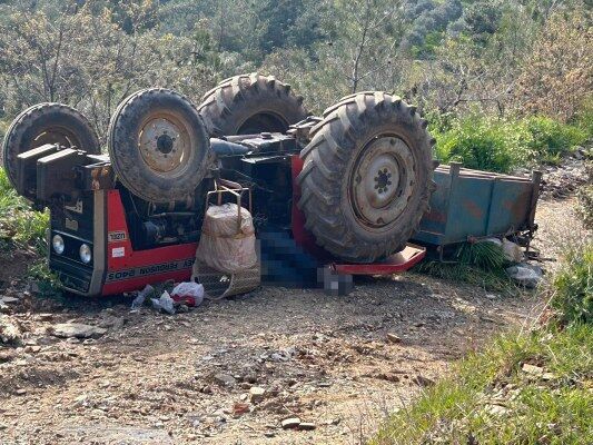 A W681281 01 533X400