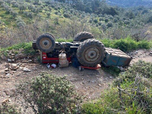 A W681281 03 533X400