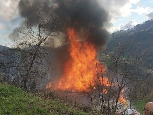 A W681308 01 533X400