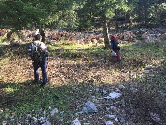 A W681864 07 533X400