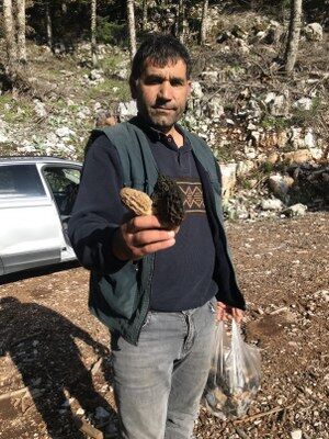 A W681864 15 300X400