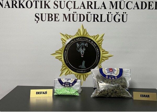 A W682031 01 600X427