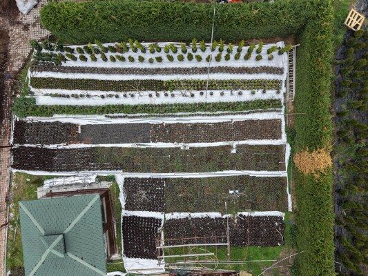 A W682546 02 533X400