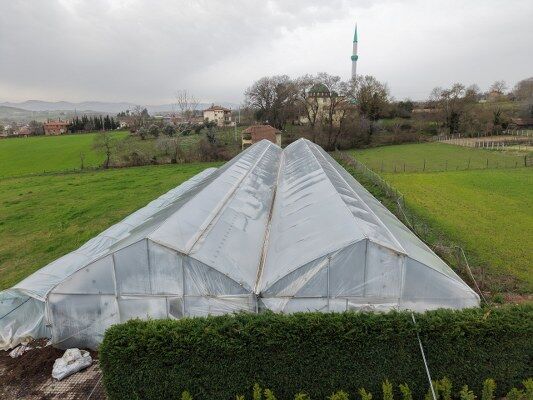 A W682546 03 533X400