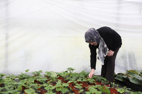 A W682546 04 600X400